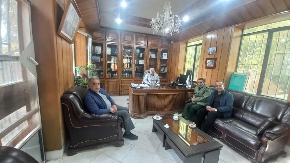 عارضه یابی